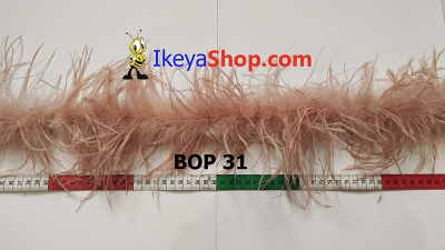 BOP 31  large2